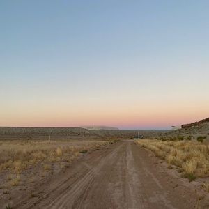 TRYING TO SELL EVERYTHING